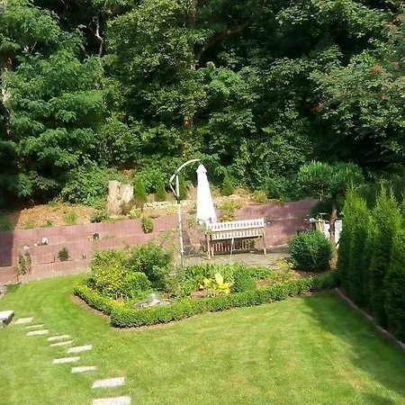 Halmis Derenburg